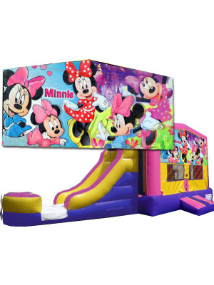 (C) Minnie Mouse 2 Lane combo (Wet or Dry)